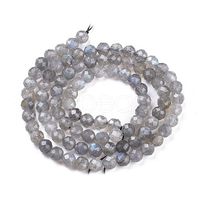 Natural Labradorite Beads Strands G-R475-025C-1