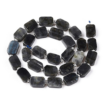 Natural Larvikite Beads Strands G-T138-04-1