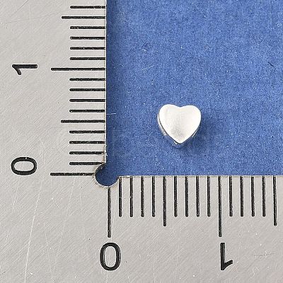 925 Sterling Silver Silde Charms STER-C013-02S-1