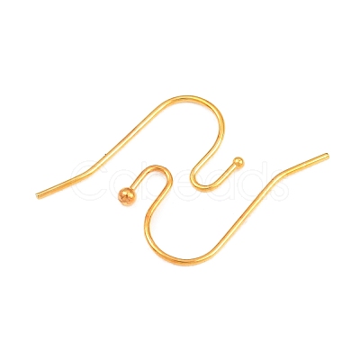 Brass Earring Hooks J0JQN-G-NF-1