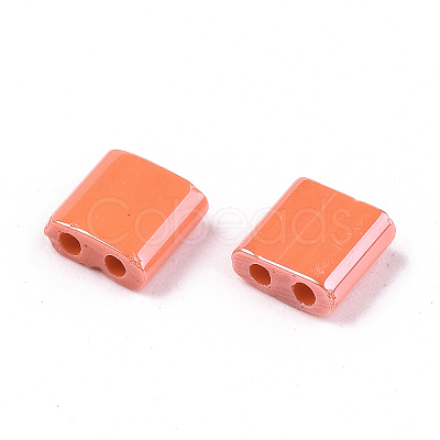FGB 2-Hole Glass Seed Beads SEED-S031-L-ST130-1