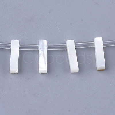 Natural Sea Shell Beads X-SHEL-T012-60I-1