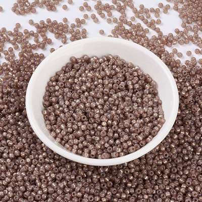 MIYUKI Round Rocailles Beads X-SEED-G008-RR0641-1
