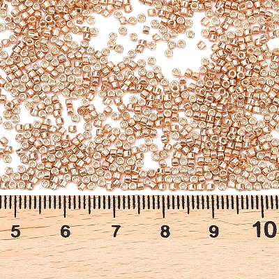 MIYUKI Delica Beads LS-X-SEED-J020-DB2518-1