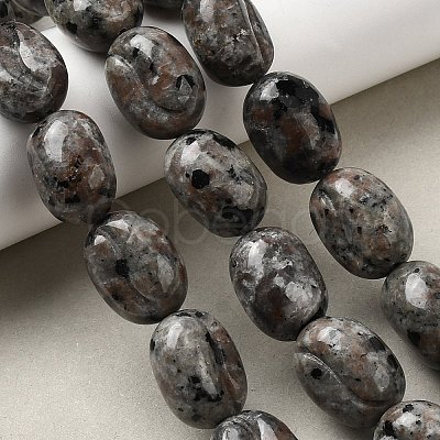 Natural Fluorescent Syenite Rock(Glow under UV Light) Beads Strands G-K362-D02-03-1