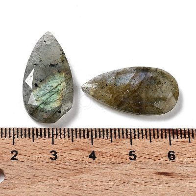 Natural Labradorite Faceted Pendants G-D082-01B-1