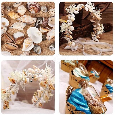 Mixed Natural Shell Bead Sets BSHE-PH0003-03-1