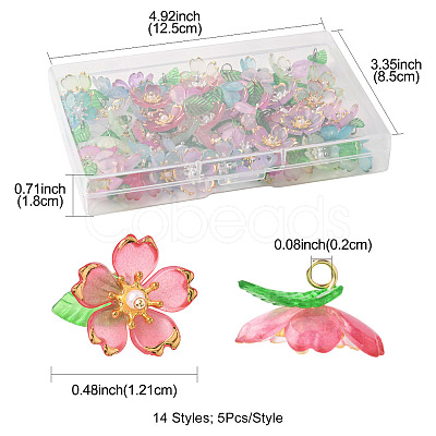 70Pcs Transparent Acrylic Pendants PALLOY-FS00050-1
