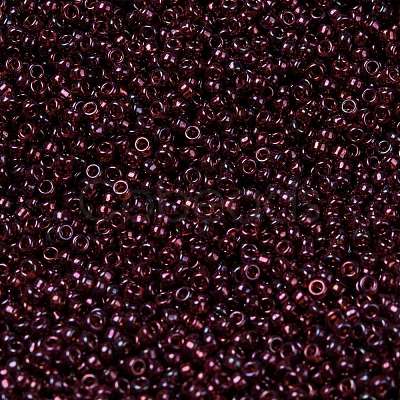 MIYUKI Round Rocailles Beads X-SEED-G009-RR0313-1