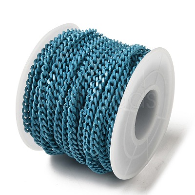 Spray Painted 304 Stainless Steel Curb Chains STAS-B067-05B-06-1
