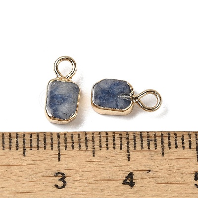 Natural Blue Spot Jasper Rectangle Charms G-Q169-07G-02-1
