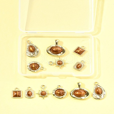 12Pcs 6 Styles Alloy Resin Pendants FIND-FS0004-05-1