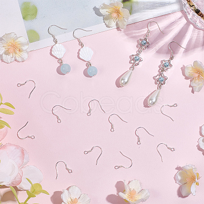 10Pairs 925 Sterling Silver Earring Hooks STER-BBC0008-93S-1
