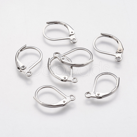 Tarnish Resistant 304 Stainless Steel Leverback Earring Findings STAS-F141-03P-1