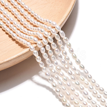 Natural Cultured Freshwater Pearl Beads Strands PEAR-N024-02-4AB-1