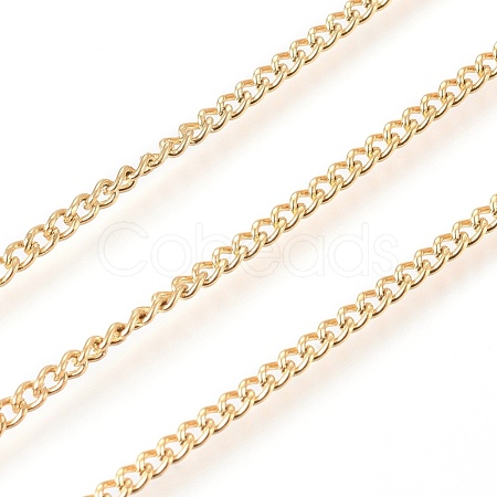 3.28 Feet 304 Stainless Steel Curb Chain X-CHS-G011-11G-03-1