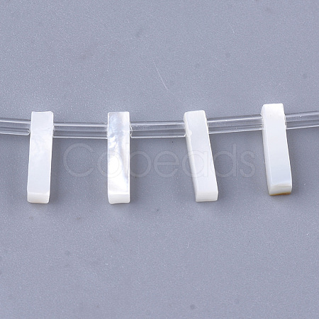 Natural Sea Shell Beads X-SHEL-T012-60I-1