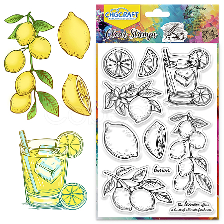 PVC Plastic Clear Stamps DIY-WH0631-0722-1