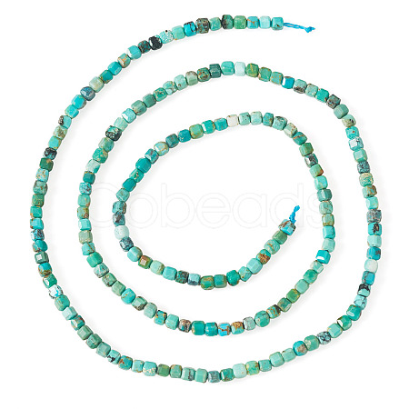 1 Strand Natural HuBei Turquoise Beads Strands G-TA0003-37-1
