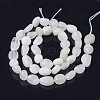 Natural Rainbow Moonstone Beads Strands G-Q961-27-3