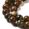 Natural Rhyolite Jasper Bead Strands G-G684-01-8mm-6