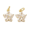 Brass Micro Pave Clear Cubic Zirconia Charms X-KK-F930-02G-1