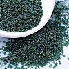 MIYUKI Round Rocailles Beads SEED-G007-RR0289-1