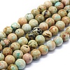 Natural Peruvian Turquoise(Jasper) Beads Strands G-E561-11-8mm-AB-1