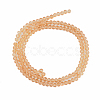Glass Beads Strands EGLA-A034-T4mm-D23-1