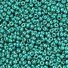 MIYUKI Round Rocailles Beads X-SEED-G007-RR5106-2