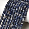 Natural Sodalite Heishi Beads Strands G-A299-A20-01-1