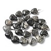 Natural Map Stone Beads Strands G-E614-A07-01-2