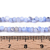 Natural Freshwater Shell Dyed Beads Strands SHEL-T020-29B-01-4