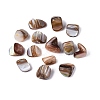 Natural Freshwater Shell Beads SHEL-ZX009-12-2