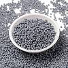 MIYUKI Round Rocailles Beads X-SEED-G008-RR0498-2