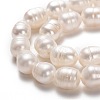 Natural Cultured Freshwater Pearl Beads Strands PEAR-L033-81-01-2