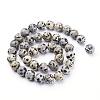 Natural Dalmatian Jasper Beads Strands GSR10mmC004-3