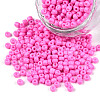 6/0 Baking Paint Glass Seed Beads X-SEED-S003-K2-1