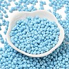 6/0 Opaque Baking Paint Glass Seed Beads X1-SEED-M012-02A-13-2