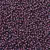 MIYUKI Round Rocailles Beads X-SEED-G009-RR0386-3