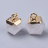 Natural Quartz Crystal Charms G-S359-015F-3