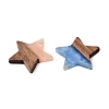 Opaque & Transparent Resin & Walnut Wood Pendants RESI-N053-31-3