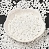 6/0 Glass Seed Beads SEED-M012-01A-16-2