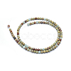 Natural Aqua Terra Jasper Beads Strands G-N0128-48-4mm-2