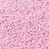 MIYUKI Round Rocailles Beads X-SEED-G008-RR0428-3