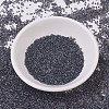 MIYUKI Delica Beads SEED-J020-DB0925-2