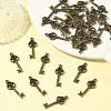 Tibetan Style Alloy Pendants PALLOY-N0118-146-5