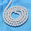 Round Shell Pearl Bead Strands X-BSHE-L011-3mm-A013-3