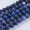 Natural Sodalite Beads Strands G-G515-10mm-07-1