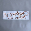 PVC Self-Adhesive Decorative Stickers STIC-WH20010-18-1